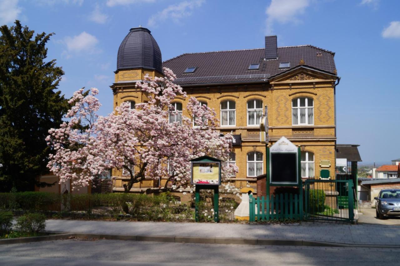 Hotel Am Kurpark Bad Suderode Exteriör bild